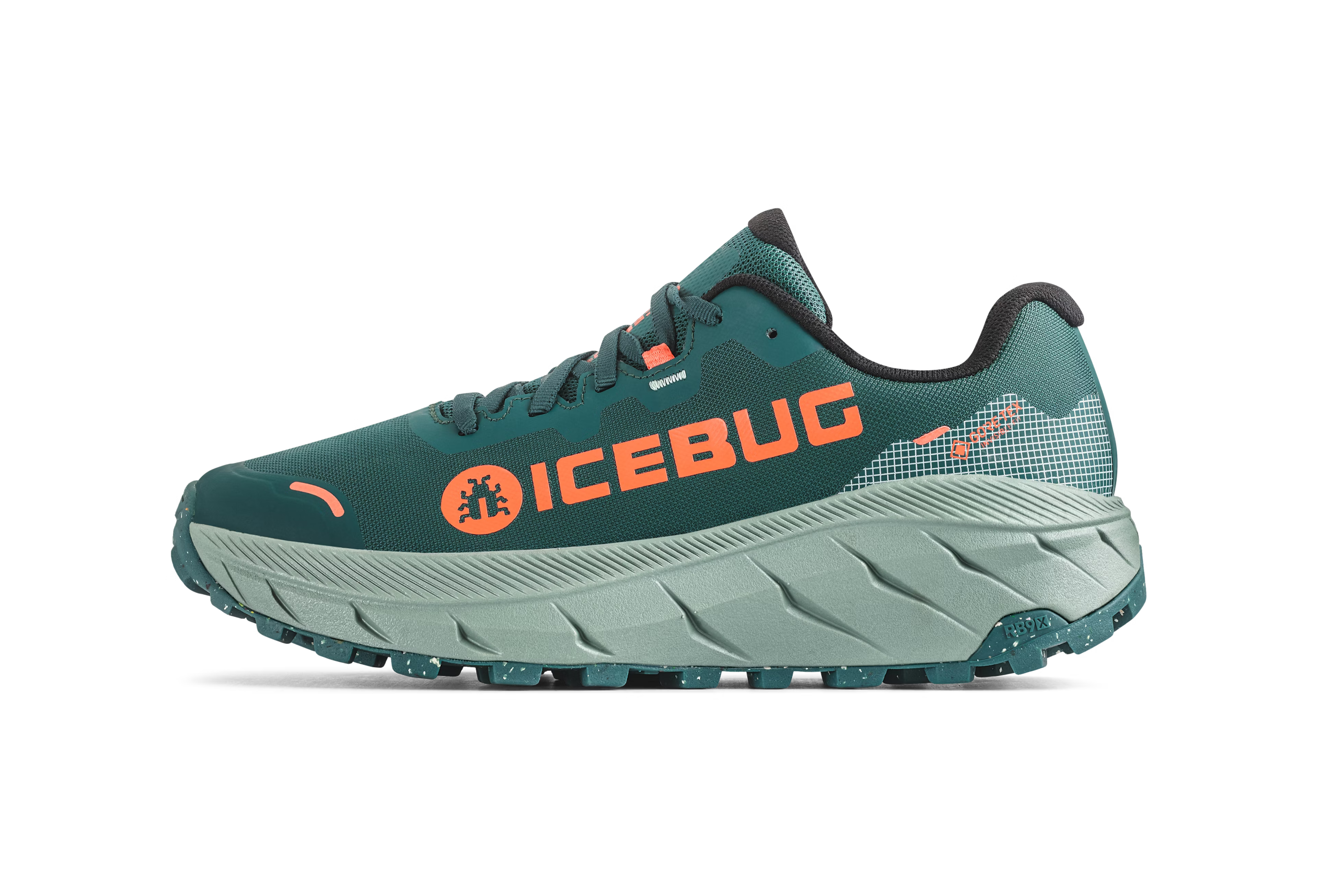 ICEBUG Arcus 2 RB9X GTX - Women's