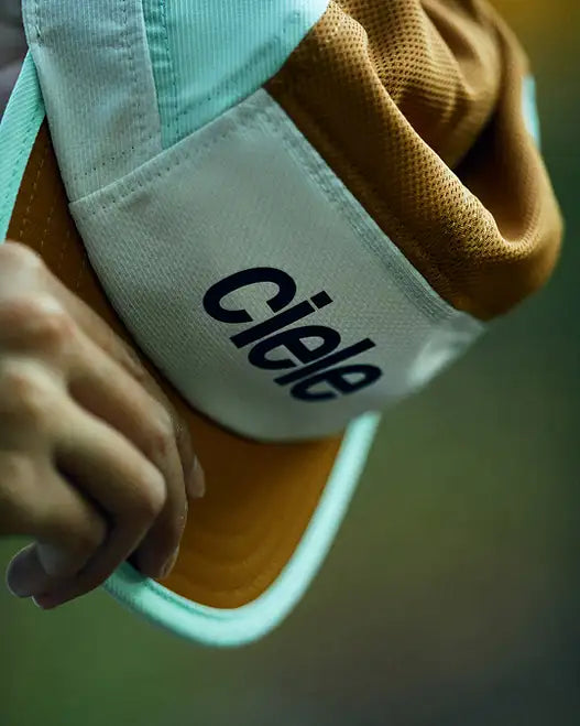 CIELE ALZCap - Standard Corp Small - Sutton